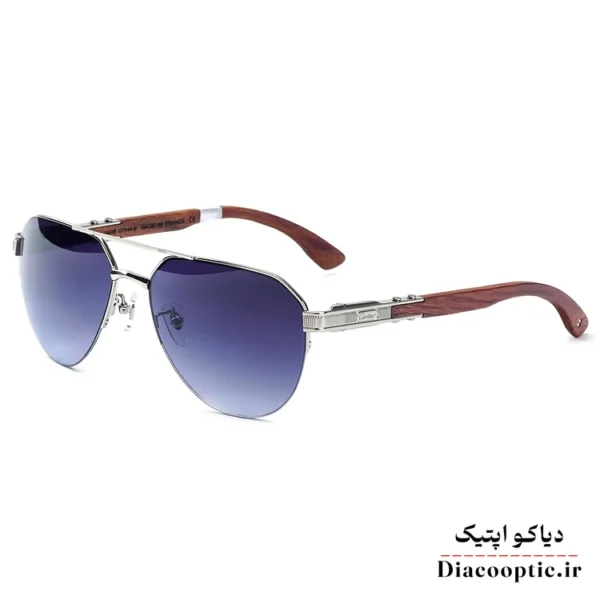 عینک آفتابی مردانه اورجینال برند کارتیر مدل KO-CT0461 - تصویر 4