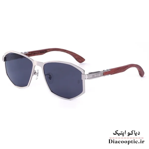 عینک آفتابی مردانه اورجینال برند کارتیر مدل KO-CT459 - تصویر 3