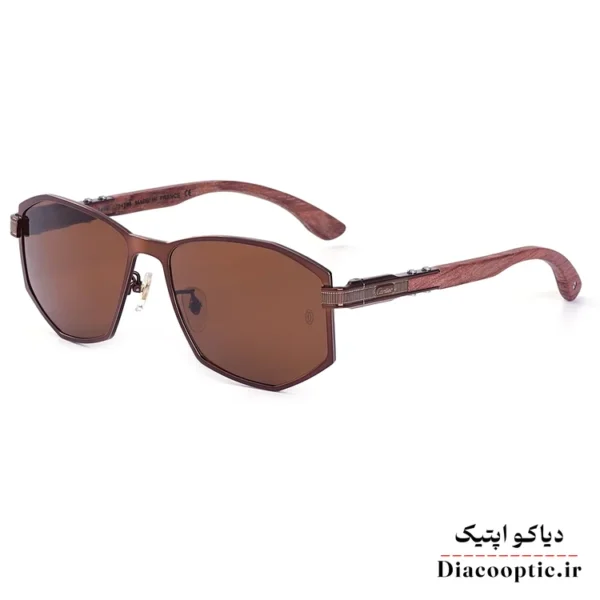 عینک آفتابی مردانه اورجینال برند کارتیر مدل KO-CT459 - تصویر 4