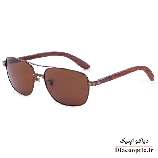 عینک آفتابی مردانه اورجینال برند کارتیر مدل KO-CT8200785 - تصویر 3